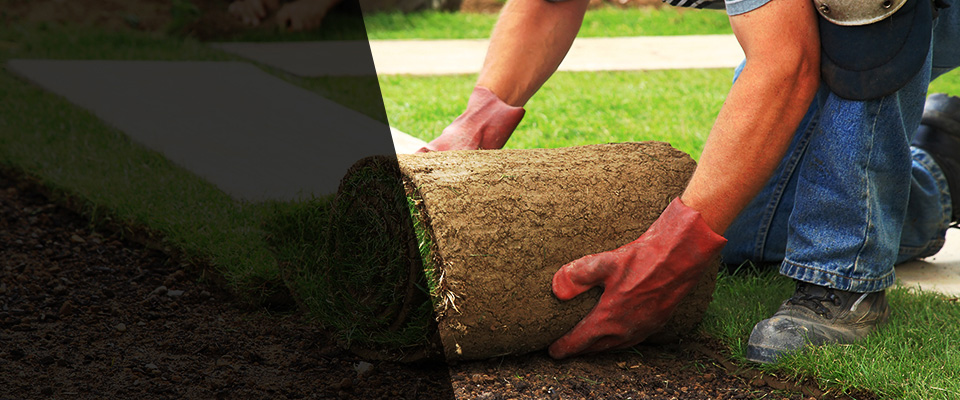 Rolling Meadows Landscapers